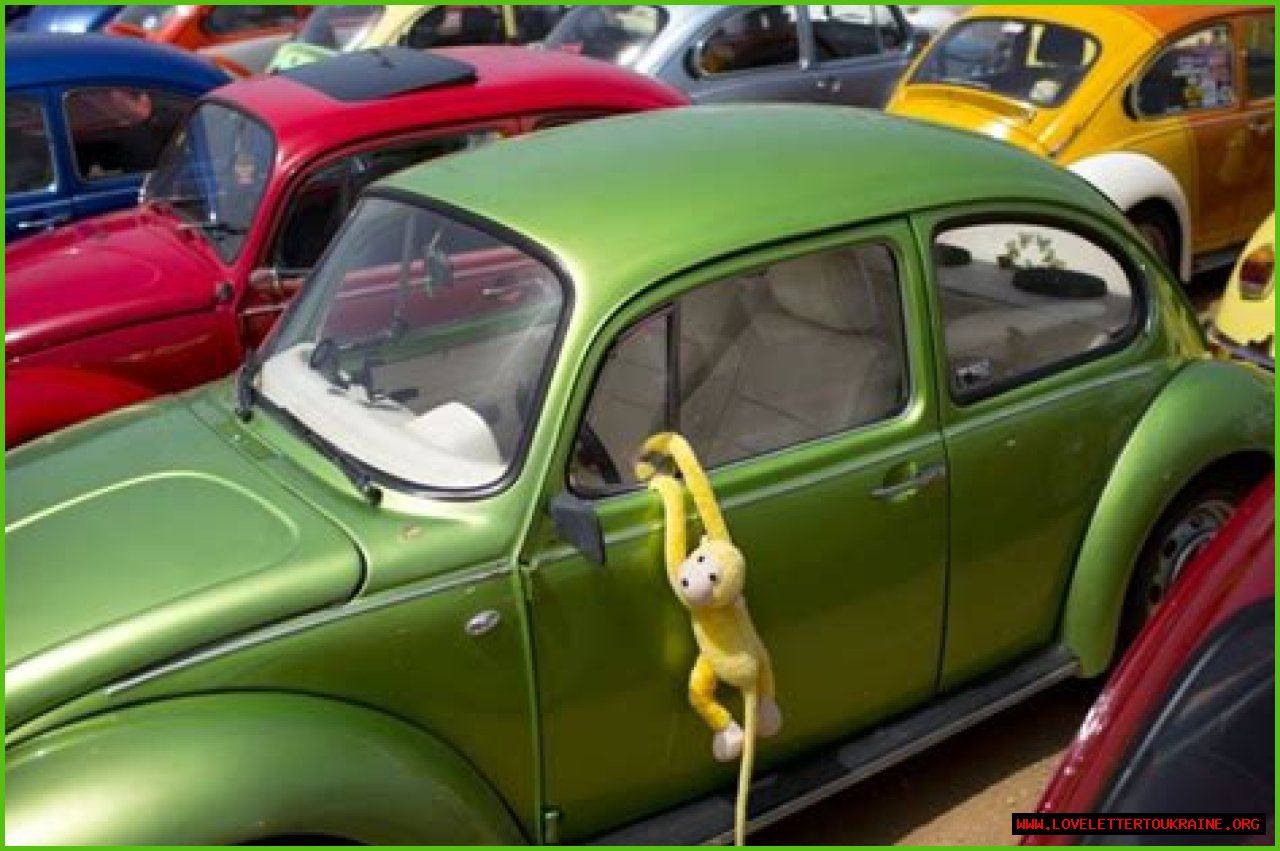 Volkswagen to end production of iconic Beetle | Business and Economy