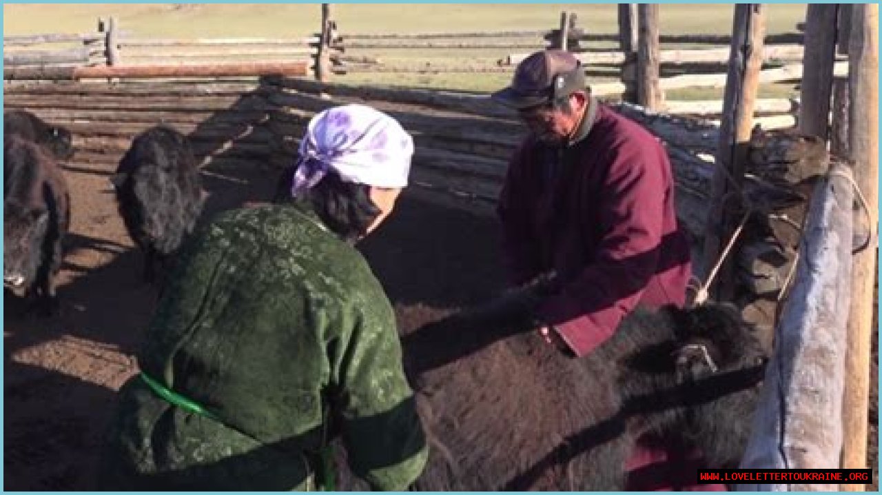 Yak fur spins profits for Mongolian herders | Business and Economy